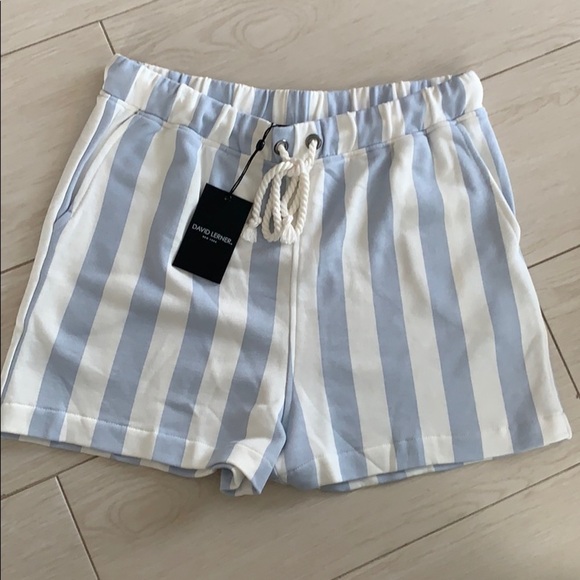 David Lerner Britta Terry Resort  stripe shorts - Picture 1 of 4